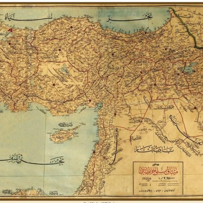 photo_2026-02-12_11-20-53